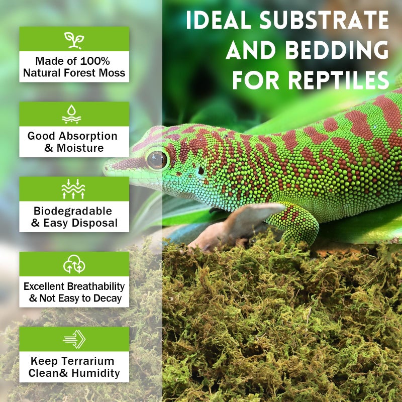 Riare 3.5 OZ Premium Sphagnum Moss for Reptiles- 4QT Natural Live Moss Reptile Moss Bedding for Terrarium, Hatching, Forest Sphagnum Moss Reptile Substrate for Snakes, Gecko, Turtles, Frogs, Leopard - Image 3